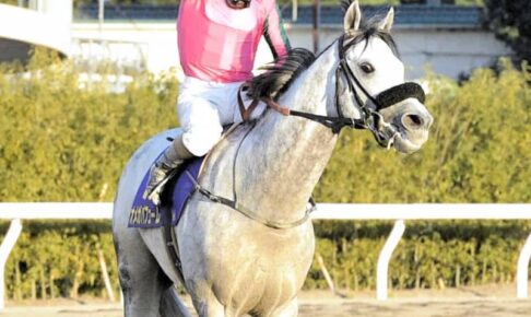 引退予定だったオメガパフュームが急転、現役を続行