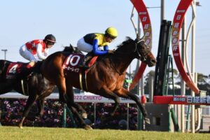 【日経新春杯】3番人気ヨーホーレイクが重賞初制覇