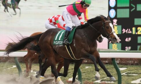 【根岸S】6番人気テイエムサウスダンが快勝