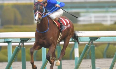 【京都記念】12番人気の伏兵アフリカンゴールドが重賞初制覇　国分恭は今年JRA初V