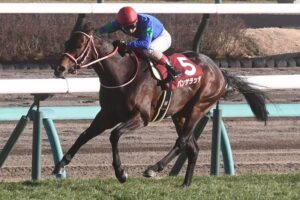 【中山記念】2番人気パンサラッサが逃げ切りV