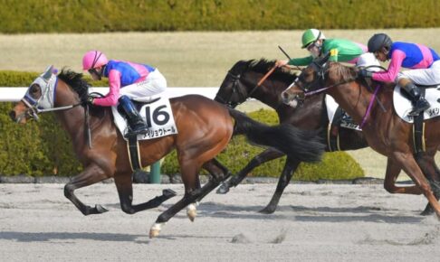 ルーキー角田大河がデビュー2連勝