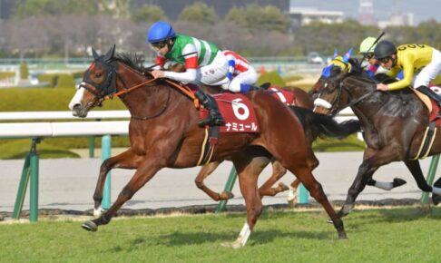 【チューリップ賞】いざ桜の舞台へ！！1番人気ナミュールが重賞初制覇