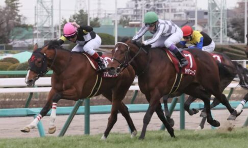 【弥生賞ディープインパクト記念】3番人気アスクビクターモアがV