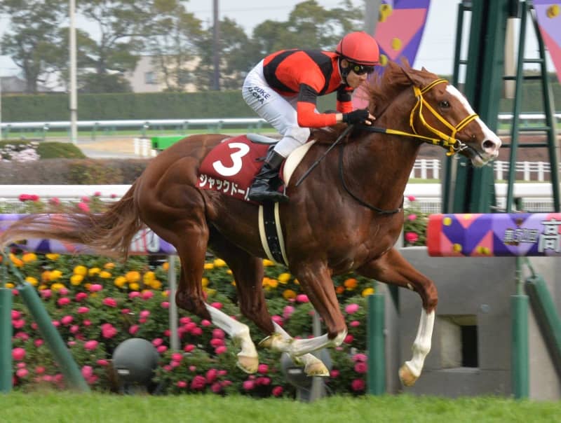 【金鯱賞】新星誕生！！ジャックドールが破竹の5連勝で重賞初制覇