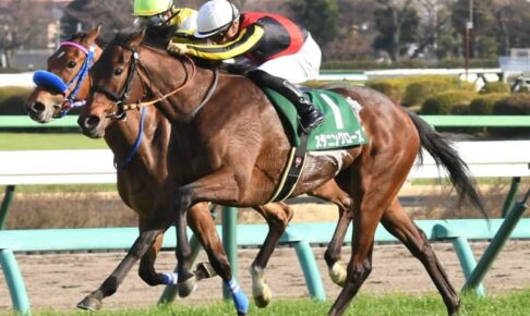 【フラワーC】2番人気スタニングローズが重賞初V