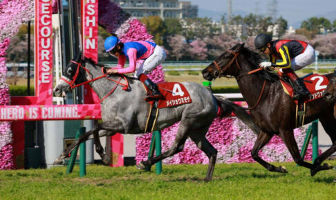 【阪神牝馬S】9番人気メイショウミモザが重賞初挑戦初V　アカイトリノムスメは除外に