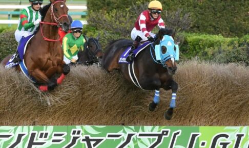 【中山GJ】11歳オジュウチョウサンがV6達成