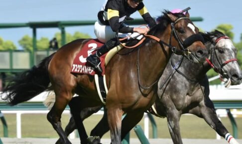 【京都新聞杯】8番人気のアスクワイルドモアが重賞初制覇！藤原師＆岩田望の師弟コンビで初タイトル
