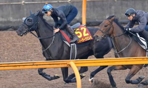 【オークス】ウォーターナビレラ　冷静かつパワフルな走り　武豊「チャンスはある」