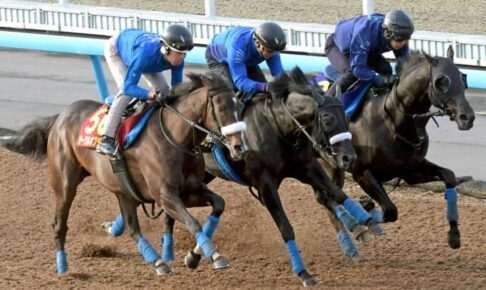 【オークス】サークルオブライフ　女王返り咲きへ貫禄　キレ抜群！手応え差歴然