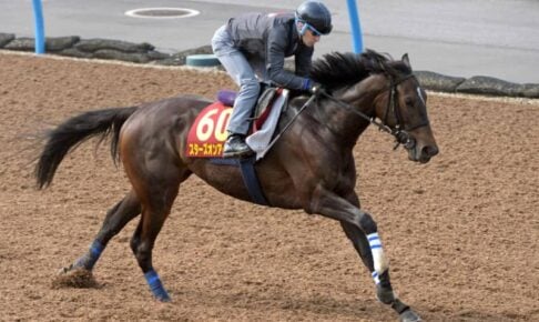 【オークス】スターズオンアース　初騎乗ルメールも好感触「この家族はオークスが好き」