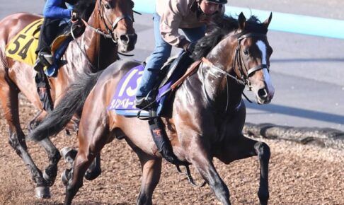 【日本ダービー】ダノンベルーガ迫力満点　堀師も満足「底上げできた」