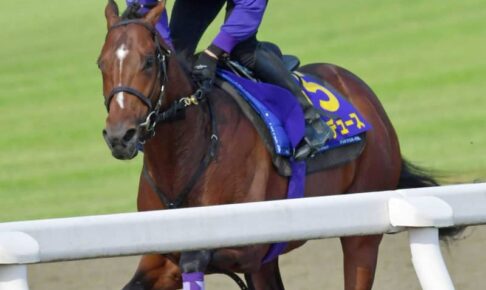 【日本ダービー】ドウデュース堂々　2歳王者復権＆武豊50代初Vへ