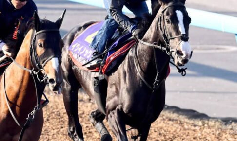 【日本ダービー】イクイノックス文句なし　皐月2着から逆襲へ！ルメール「自信ある」