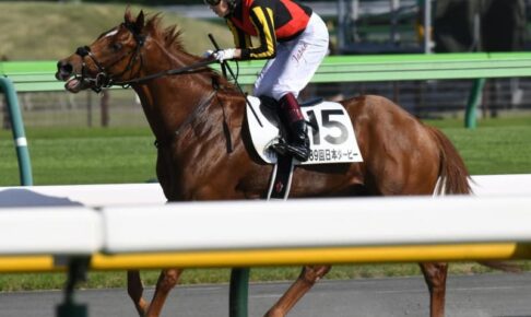 皐月賞馬ジオグリフが右前脚第1指骨骨折で全治3カ月　木村師「秋のレースを目指します」