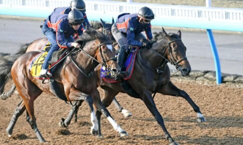 【安田記念】ファインルージュ　初G1へGOサイン　武豊のエスコートでマイル王者狙う