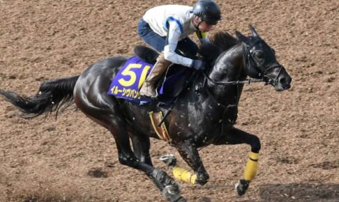 【安田記念】イルーシヴパンサー豪快デモ　ラスト差す意識付けバッチリ