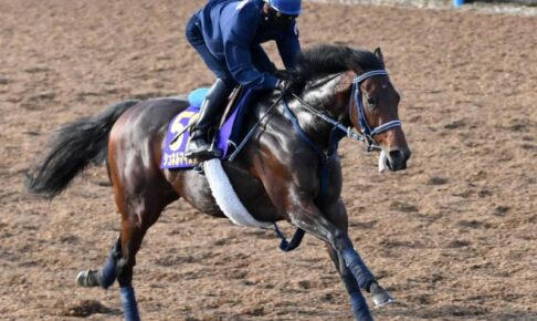 【安田記念】シュネルマイスター“不安一走”　海外帰りもケア十分　馬なりラスト1F11秒3