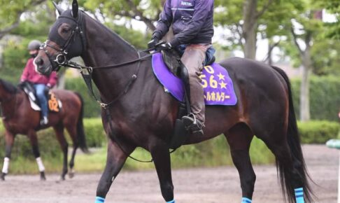 【宝塚記念】タイトルホルダー　王道で本物になる　年度代表馬抑えファン投票トップ