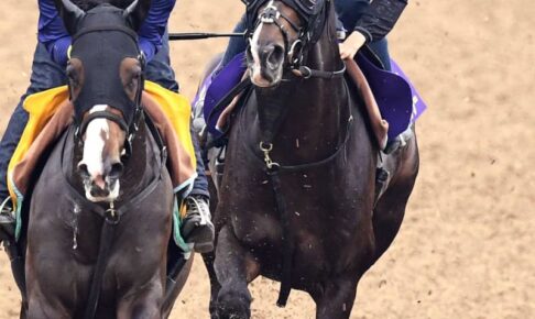 【宝塚記念】タイトルホルダー超軽快　良化一途のV候補！狙うG1.3勝目