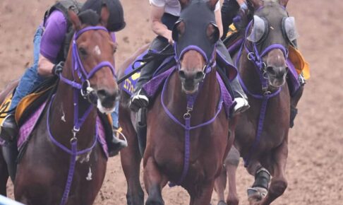 【宝塚記念】エフフォーリア激変　“特効薬”ブリンカー効いた！1週前からグーン上昇
