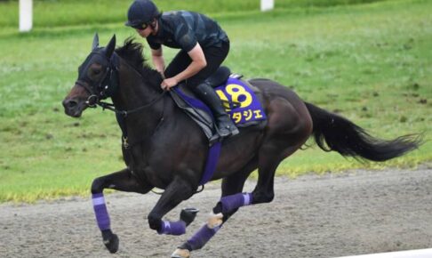 【宝塚記念】ポタジェ　栗東DP軽快駆け　友道師「リズム良く走れていた」