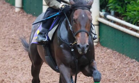 【宝塚記念】デアリングタクト　完全復調！脚さばき、前進気勢は全盛期そのもの