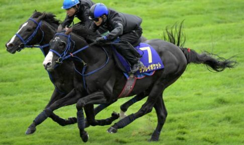 【函館記念】サンレイポケット洋芝大丈夫　ブリンカー効果で反応しっかり