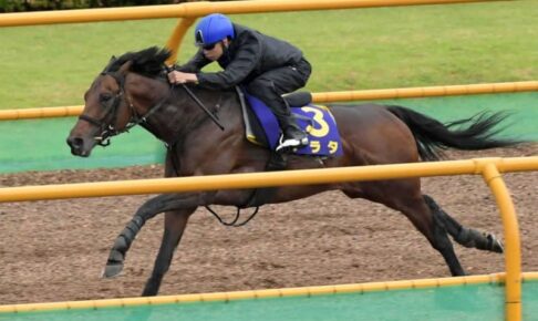 【函館記念】アラタ　ダイナミックに駆け抜けた　横山武「動きはすごくいい」