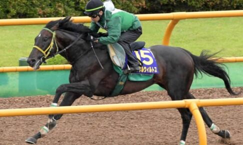 【函館記念】マイネルウィルトス反応機敏に伸びる