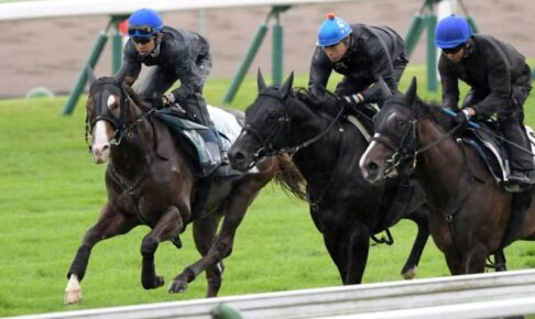 【函館2歳S】武豊も高く評価　クリダーム感触上々