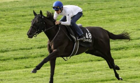 【クイーンS】ウォーターナビレラ軽快　武豊も好感触「動きいい」