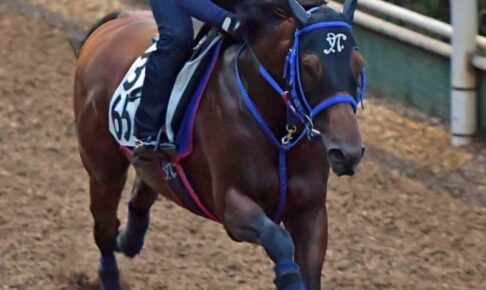 【アイビスSD】オヌシナニモノ軽く仕掛ける　聖奈「しっかり準備したい」