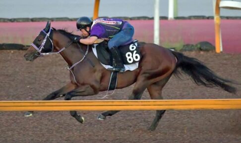 【レパードS】タイセイドレフォン躍動　陣営「もう一段良くなった」