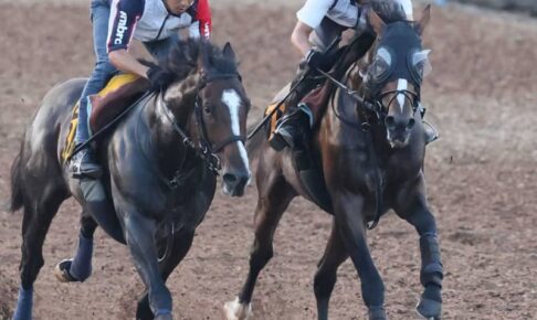 【レパードS】ホウオウルーレット　合格点　三浦助手「気性が素直で、操縦性の高い馬」