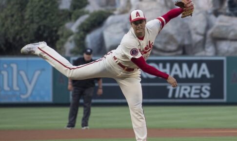 大谷6回途中3失点で7敗目　2ケタ奪三振も6試合連続でストップ