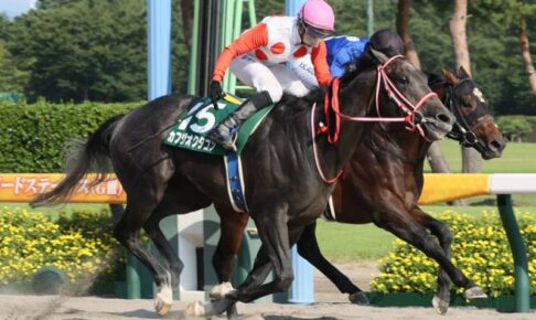 【レパードS】7番人気のカフジオクタゴンが重賞初V　香港の名手・ホーはJRA重賞初制覇