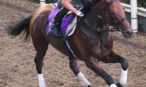 【関屋記念】ダノンザキッド心身が安定　「使った効果ですごくいい」