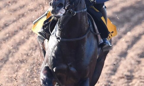 【関屋記念】イルーシヴパンサー　初コンビ岩田望も大満足　「すごくいい馬」