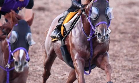 【関屋記念】ウインカーネリアン軽快な伸び　鹿戸師「精神面も大人になった」