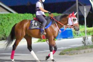 【ジャックルマロワ賞】日本のバスラットレオンは7着