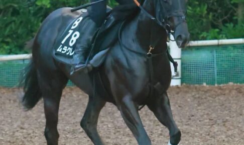 【北九州記念】ナムラクレア　夏の快速女王になる　6F戦は3戦3勝底知れず