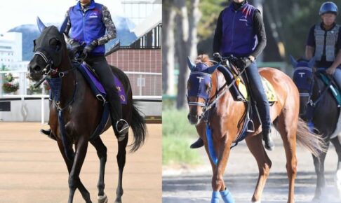 【札幌記念】ユーバーレーベン＆ウインマリリン　手塚厩舎の2頭がソダシ連覇に待った