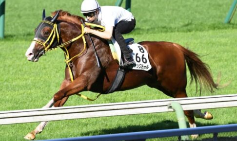 【札幌記念】ジャックドール豪快リハ　大雨で内容変更もなんの　秋盾へ弾みつける