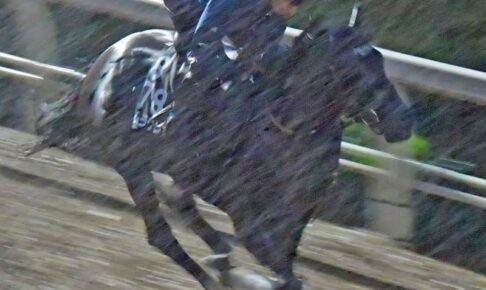 【北九州記念】ナムラクレア充実期　長谷川師「馬も焦っていなくていい内容」