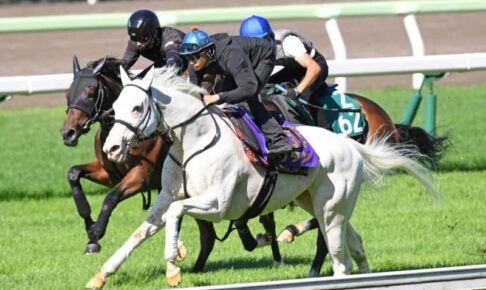 【札幌記念】ソダシ　連覇へ拍車　二千でも吉田隼「気負わなければ大丈夫」