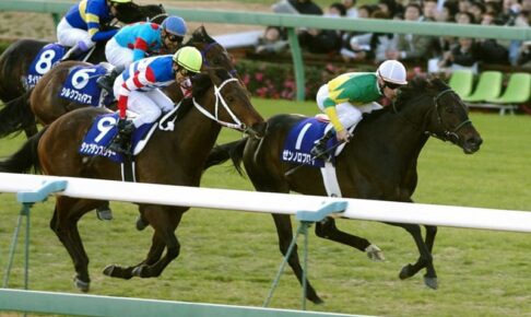 04年の年度代表馬ゼンノロブロイ死す　22歳　老衰のため