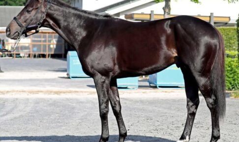 【フォワ賞】マイラプソディ完敗最下位6着　友道師「全盛期ならあそこから」