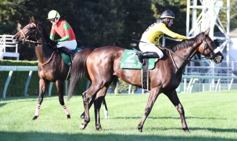 サークルオブライフが右前浅屈腱炎を発症